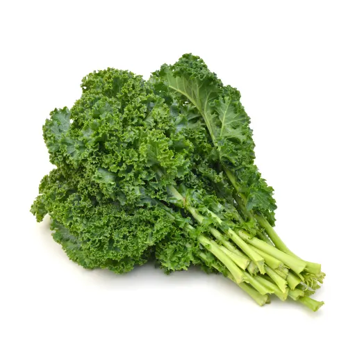 2099000108029.webp