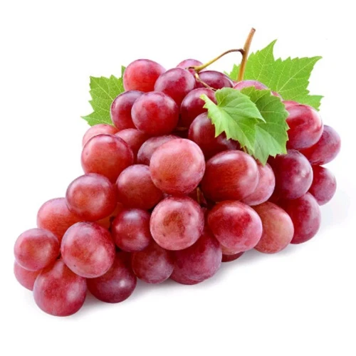 2952284010009.webp