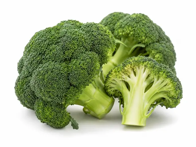 2099000110732.webp