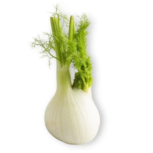 2072983747256.webp