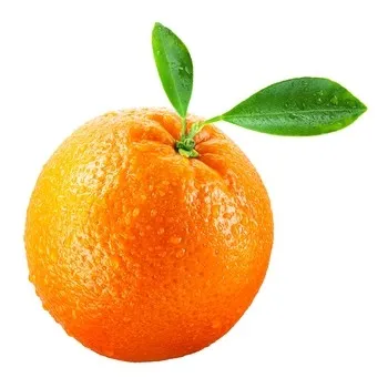 2099000101488.webp
